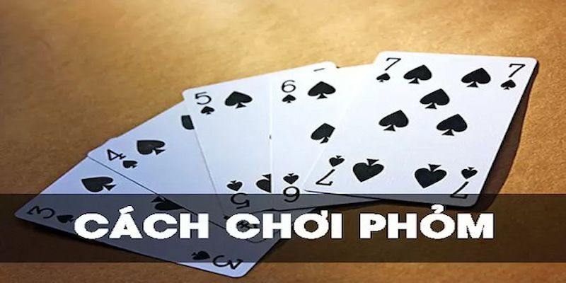 Bỏ túi cách chơi phỏm hiệu quả